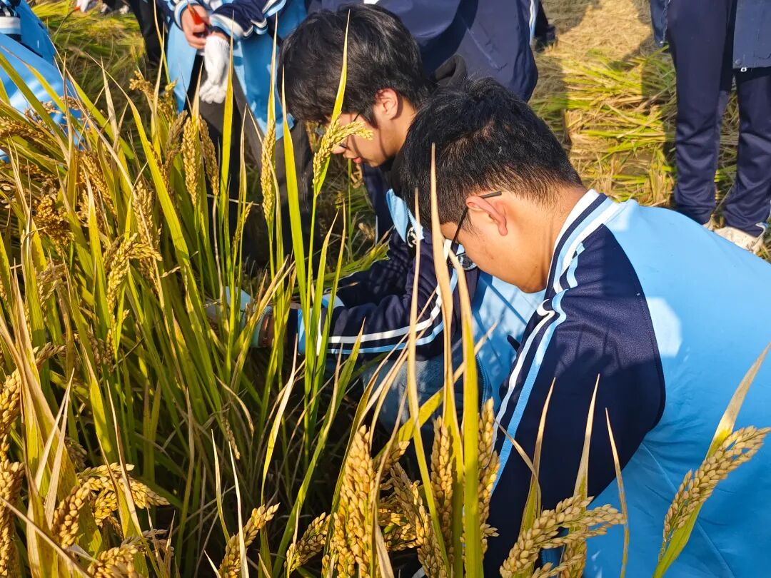 xuesheng-2-8.jpg 微信图片_20241029134332.jpg