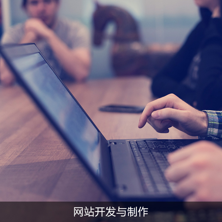 网站开发与制作