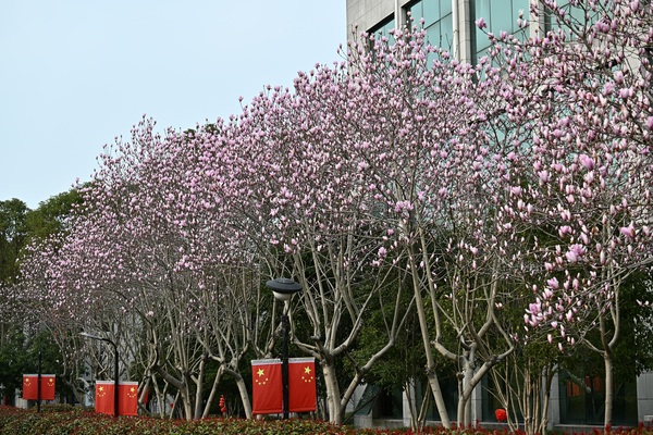 DSC_4422.JPG